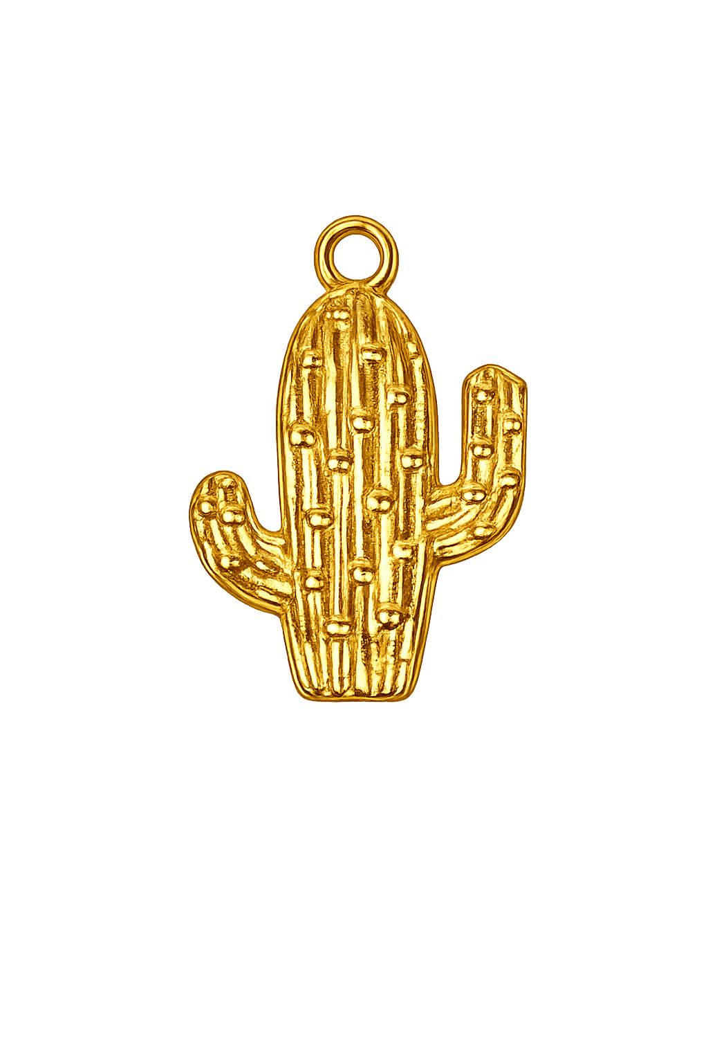 Talaia Bijoux Cactus 1M Bijoux